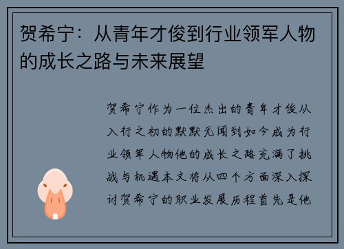 贺希宁：从青年才俊到行业领军人物的成长之路与未来展望
